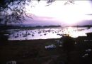 Sunset, Lake Navasha from Marina Club